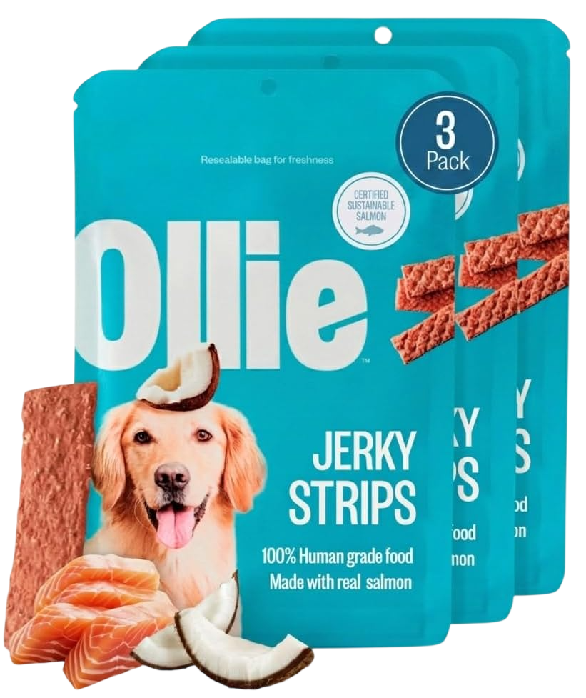 Ollie Salmon & Coconut Jerky Dog Treats