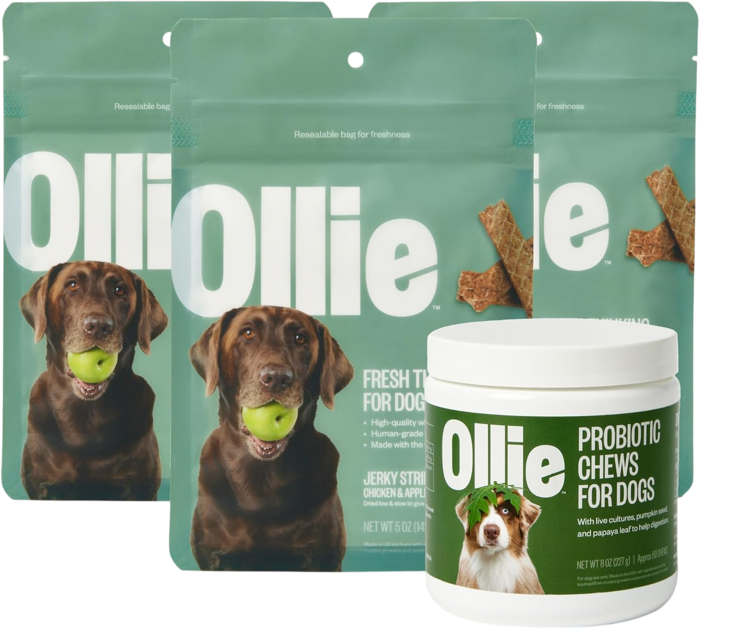 Chicken and Apple Recipe Jerky Dog Treats by Ollie